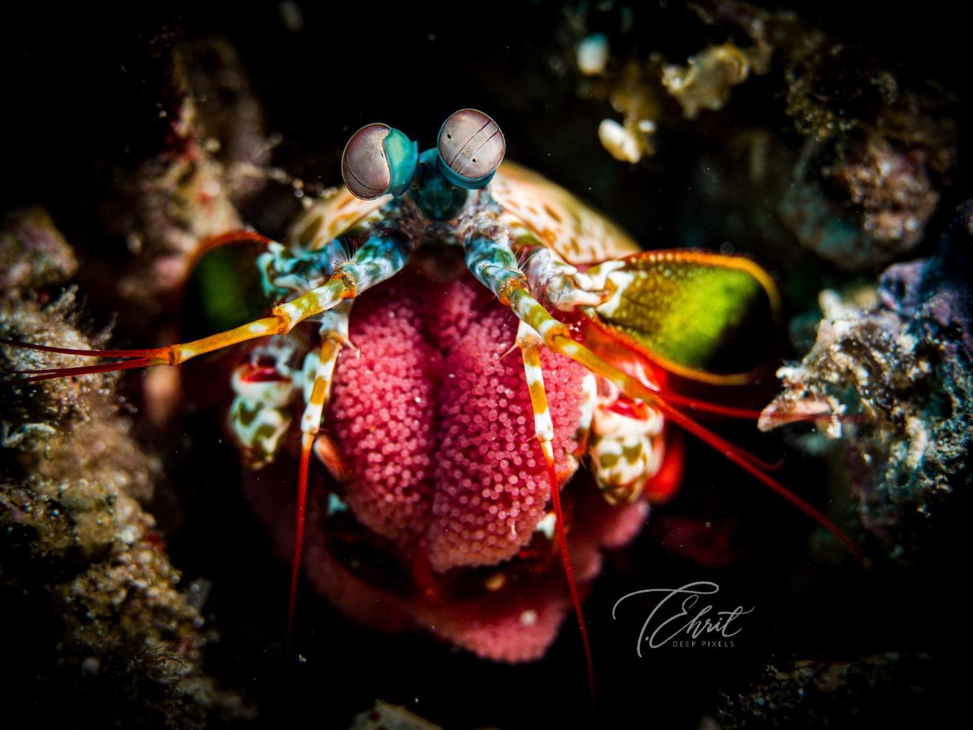 Polaris Beach And Dive Resort Inc Loon Экстерьер фото